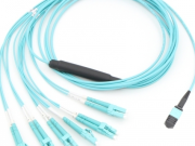 Ny fampiharana ny fibre mialoha amin'ny ivon-drakitra